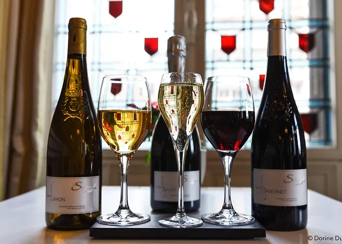 Hotel Oceania D'anjou